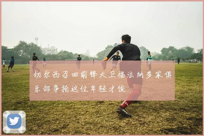 切尔西召回前锋大卫福法纳多家俱乐部争抢这位年轻才俊